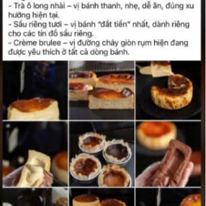 burnt cheesecake SD - EM LY